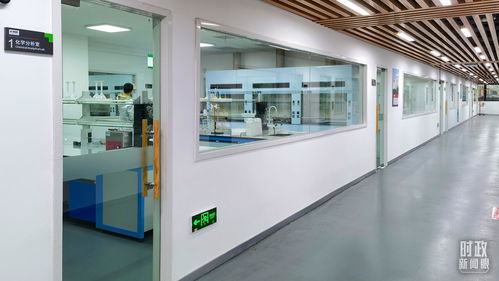 衡水新聞網 電子專用材料制造——產業新引擎，發展新動能